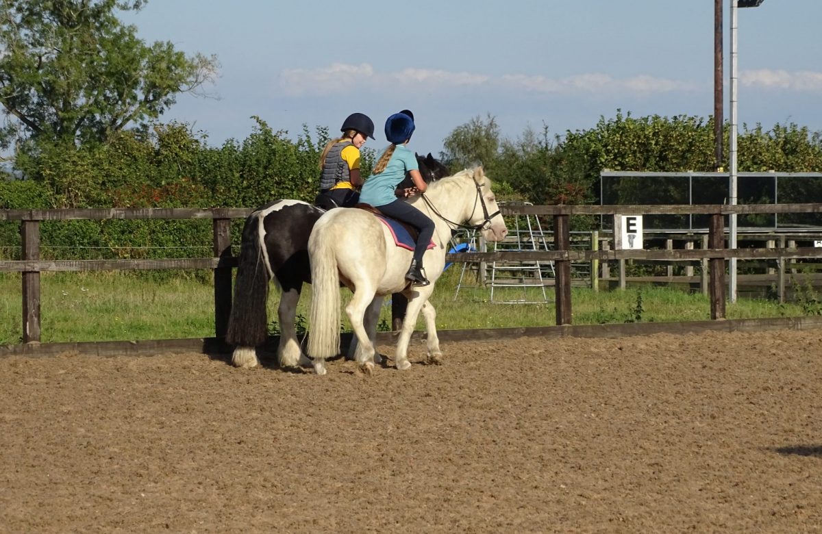 Pevlings Farm Riding and Livery Stables: