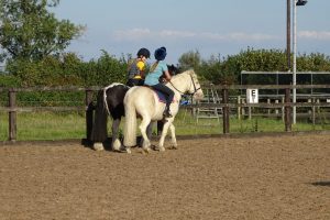 Pevlings Farm Riding and Livery Stables: