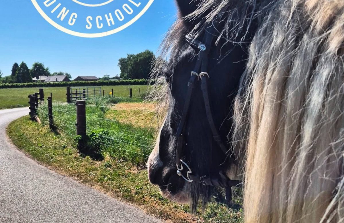 Higher Farm Riding School