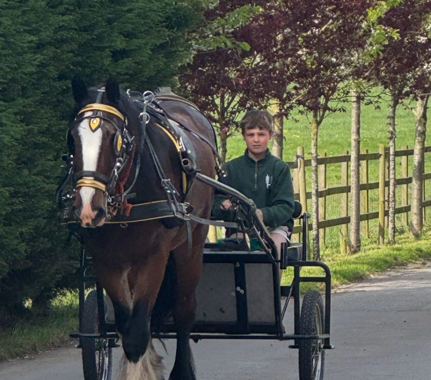 Higher Farm Riding School