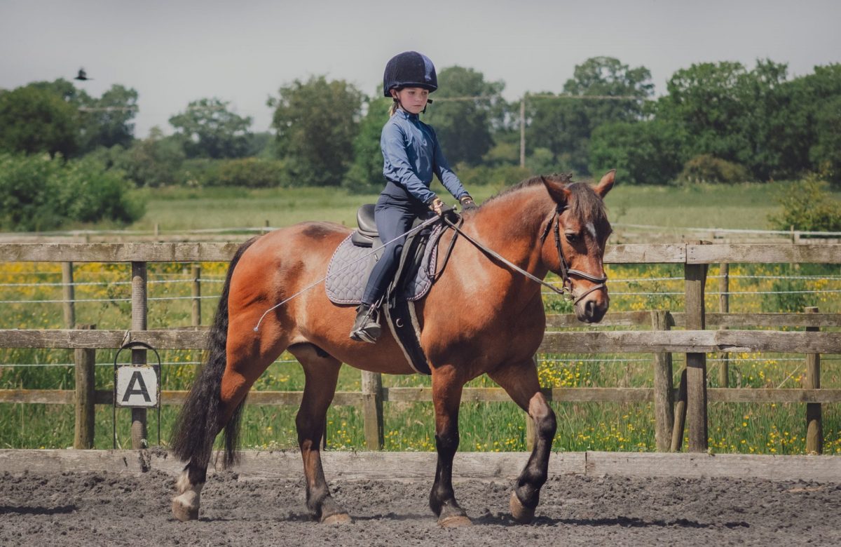 Howden Equestrian Centre
