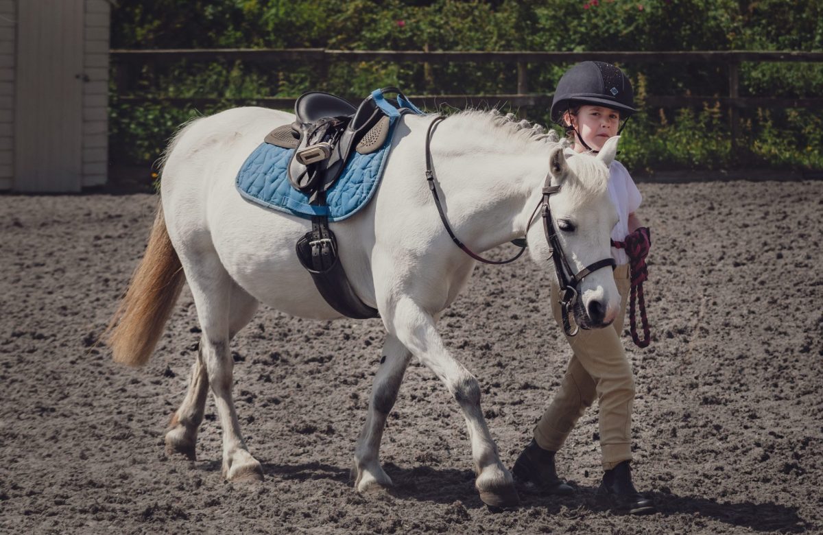 Howden Equestrian Centre