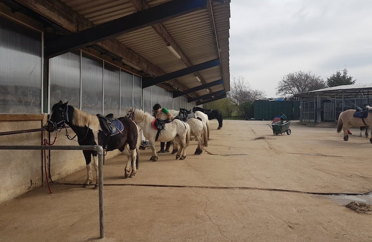 Bryerley Springs Equestrian Centre