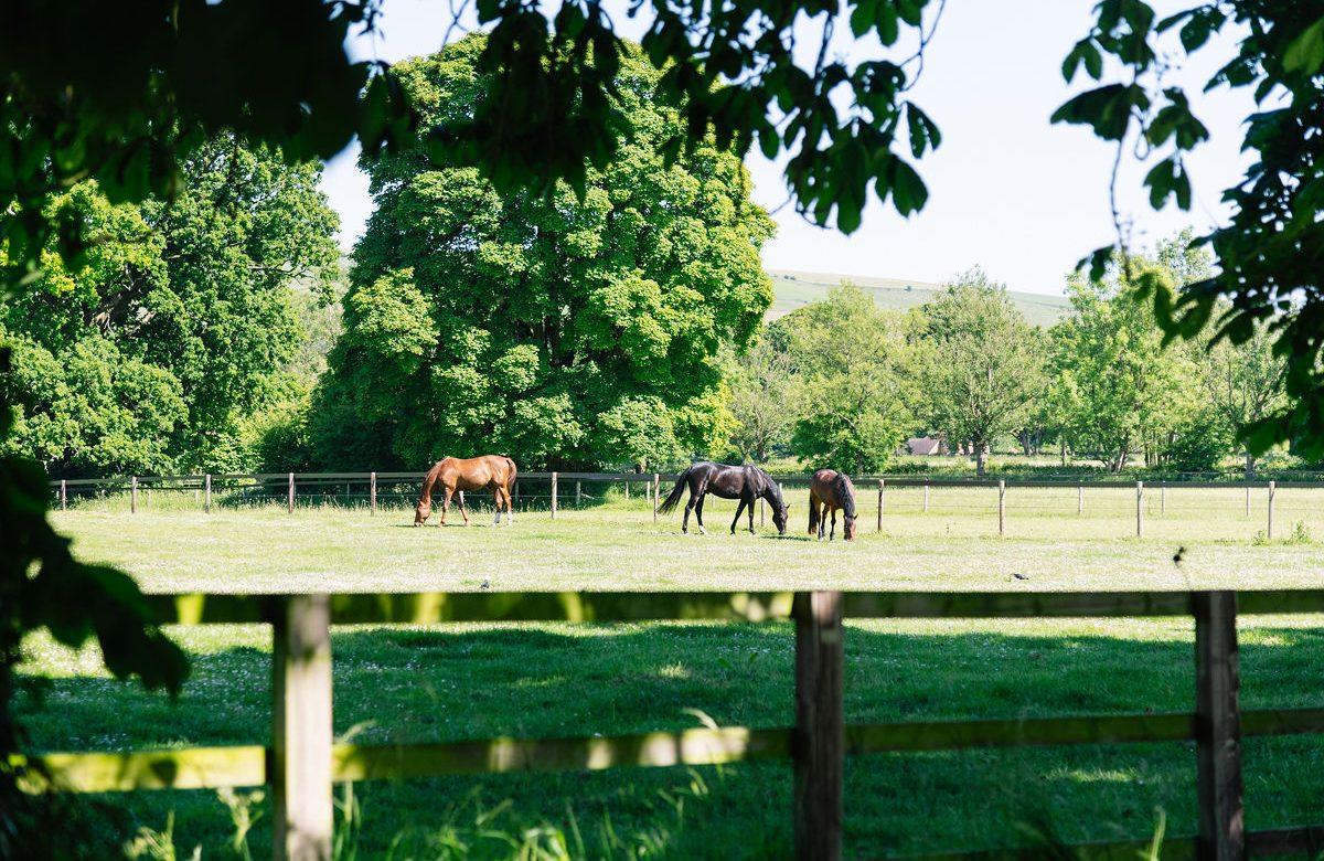 Ladysmith Equestrian Centre