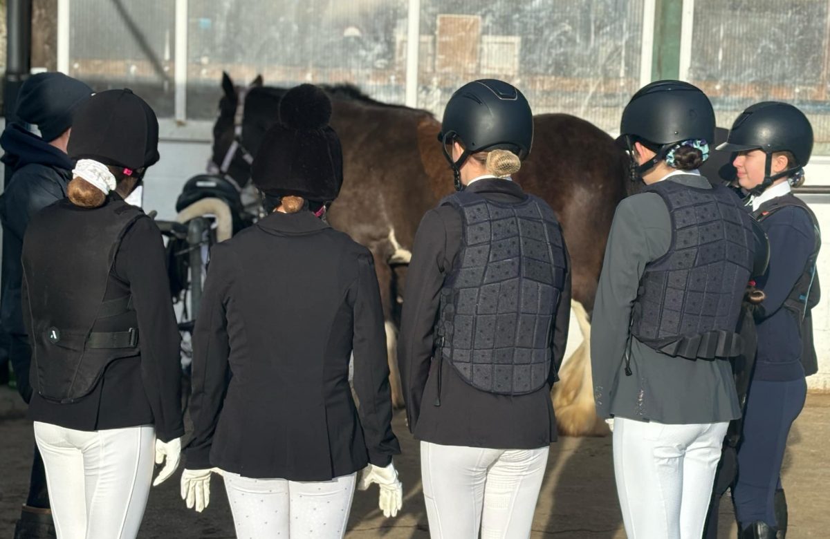 Bryerley Springs Equestrian Centre