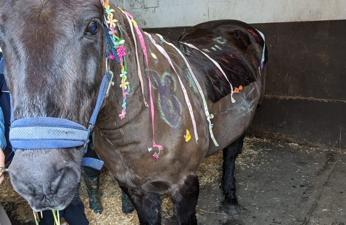 Sawston Riding School