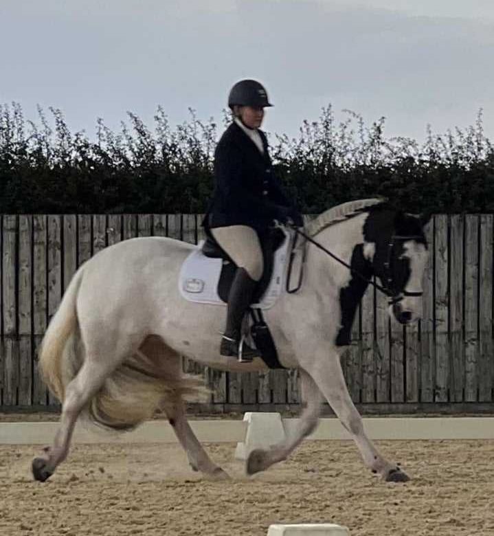 Howden Equestrian Centre