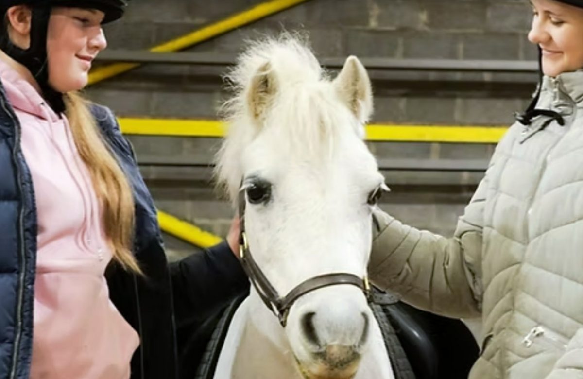Stepney Bank Stables