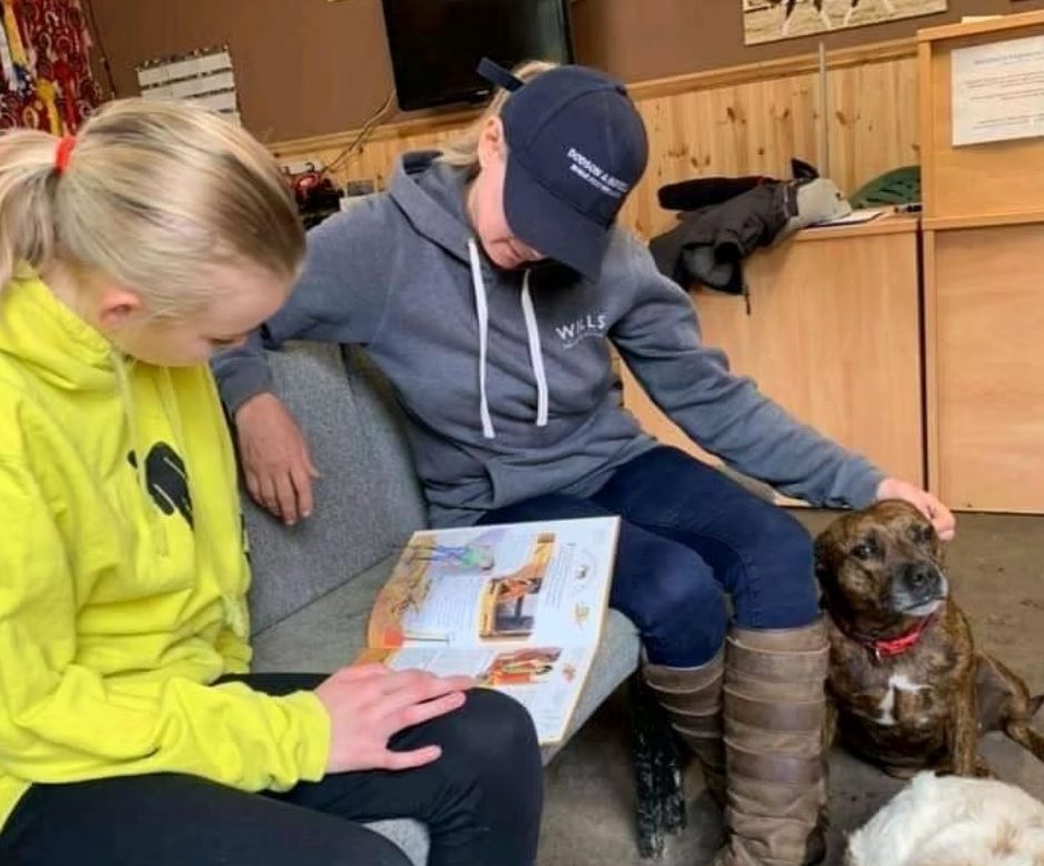 Kingsleighs Equine Educational Centre