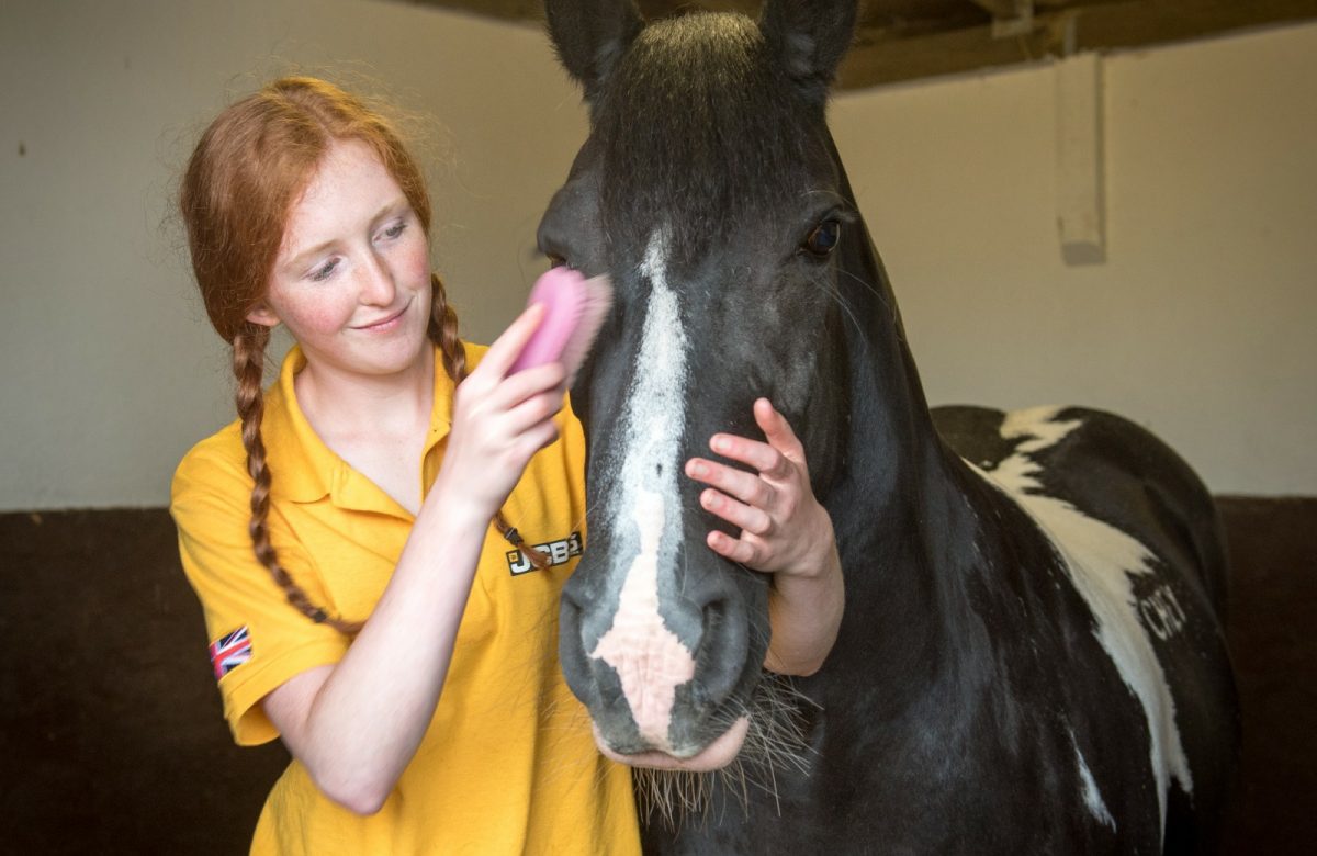 Holt’s Equestrian Centre