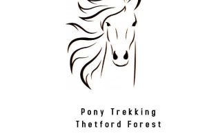 Pony Trek Thetford Forest