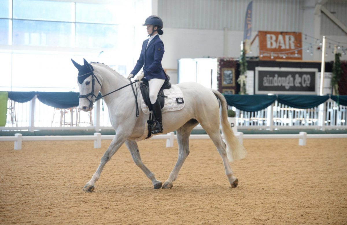 Holt’s Equestrian Centre