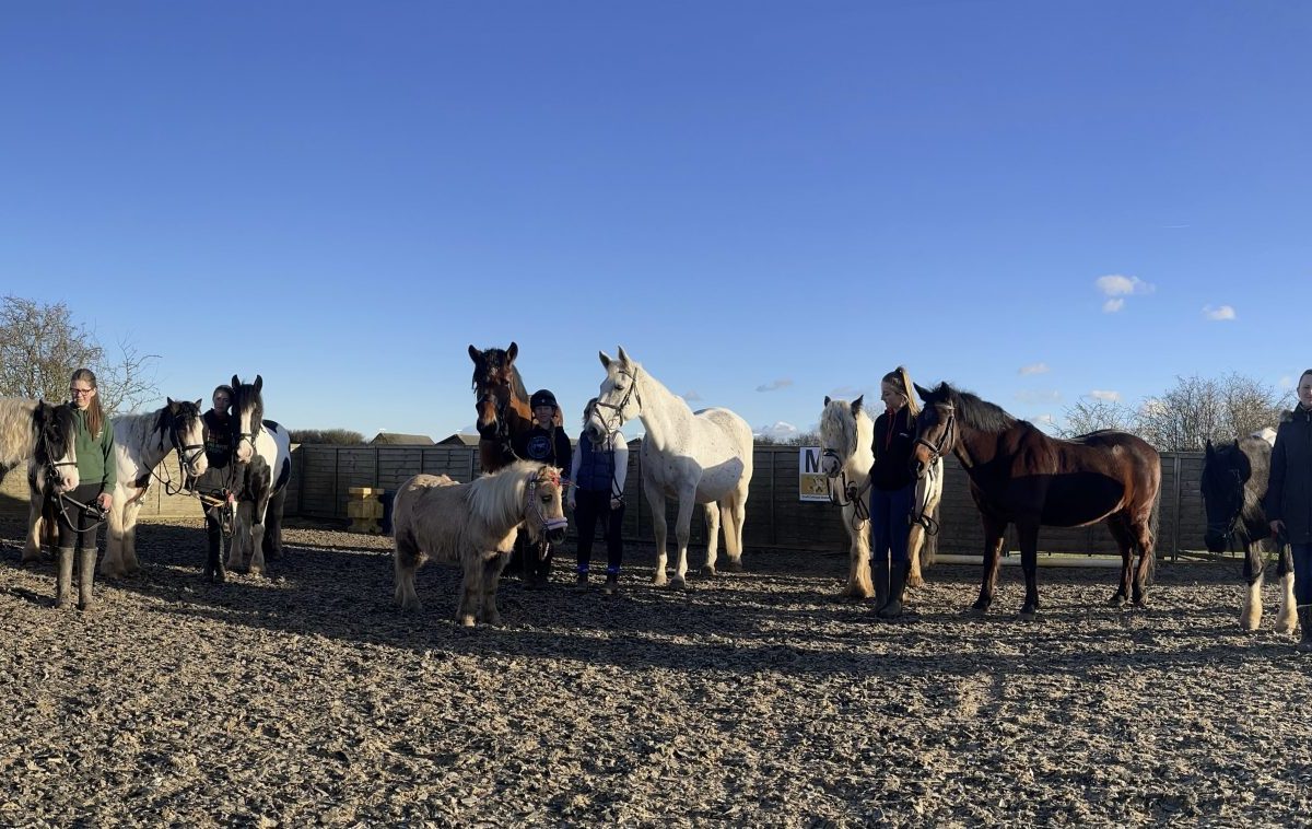 Croft Cottage Stables