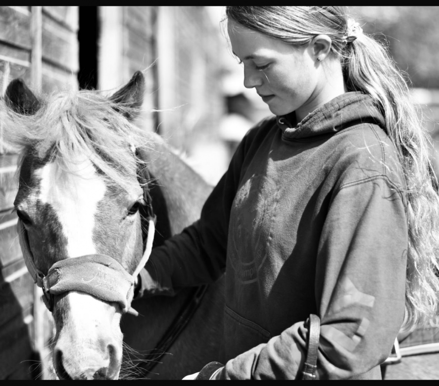 Croft Cottage Stables