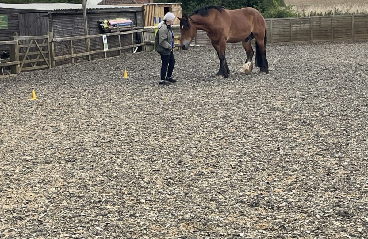 Croft Cottage Stables