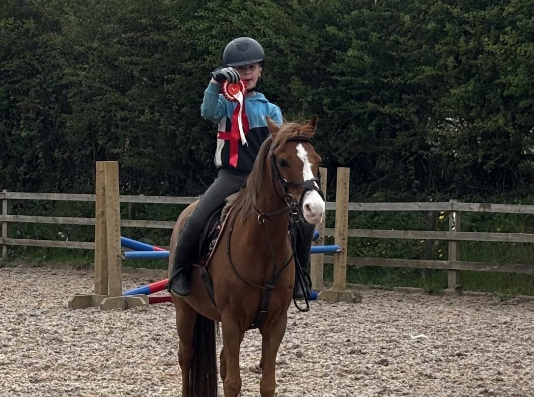 Hill Top Farm Stables