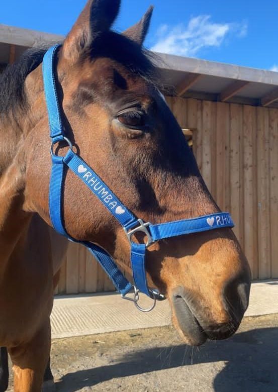 Hill Top Farm Stables