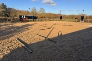 Moat Farm Riding Centre