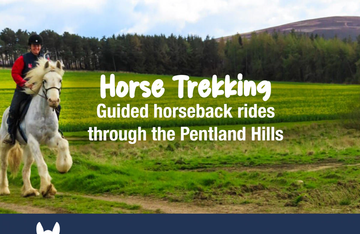 Scozia Horse Trekking