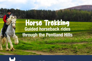 Scozia Horse Trekking