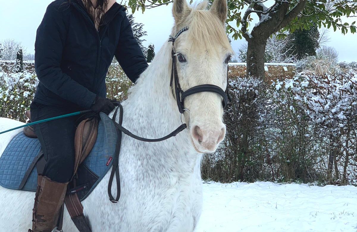 Littlefield Manor Riding School