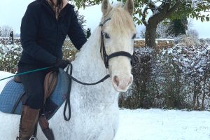 Littlefield Manor Riding School