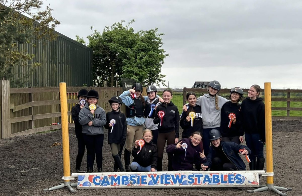 Campsie View Stables
