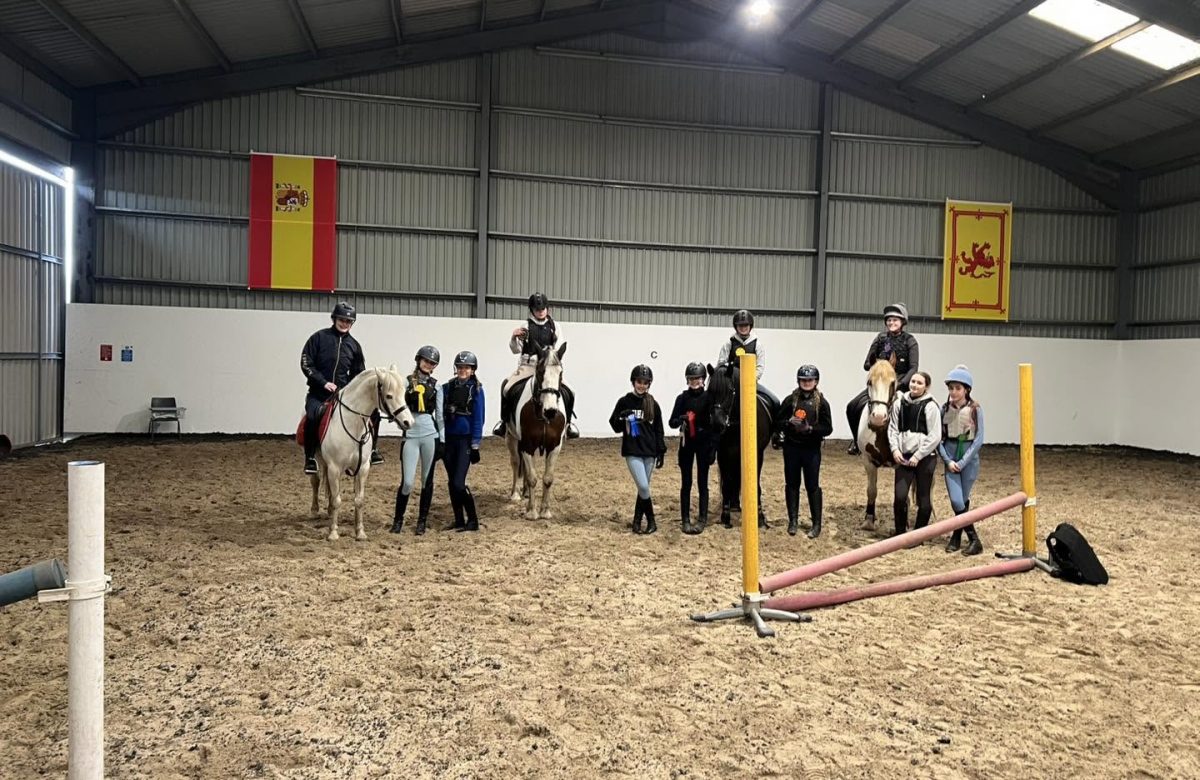 Campsie View Stables