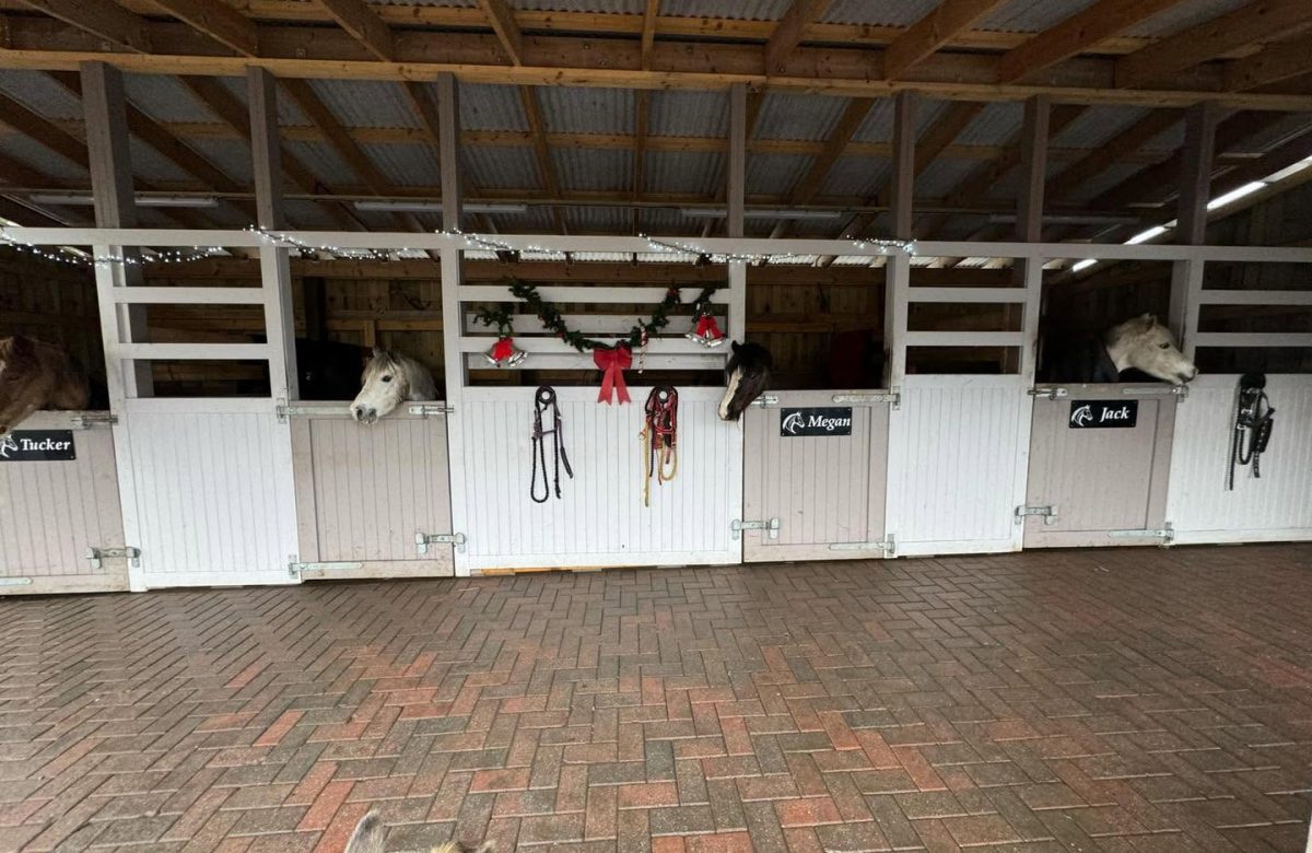 Campsie View Stables