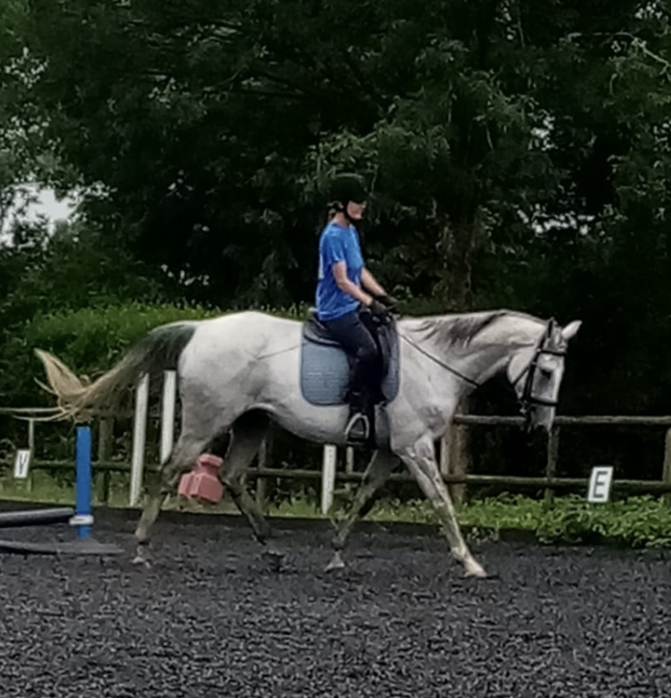 Littlefield Manor Riding School