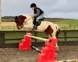 Lads Lodge Riding Centre