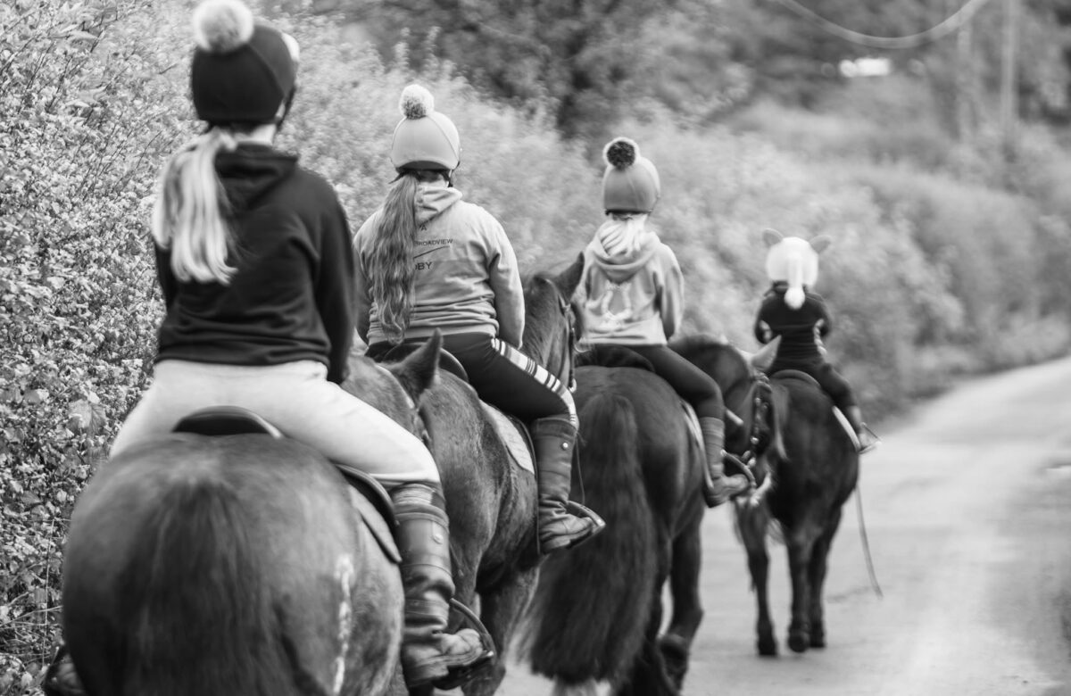 Broadview Riding School