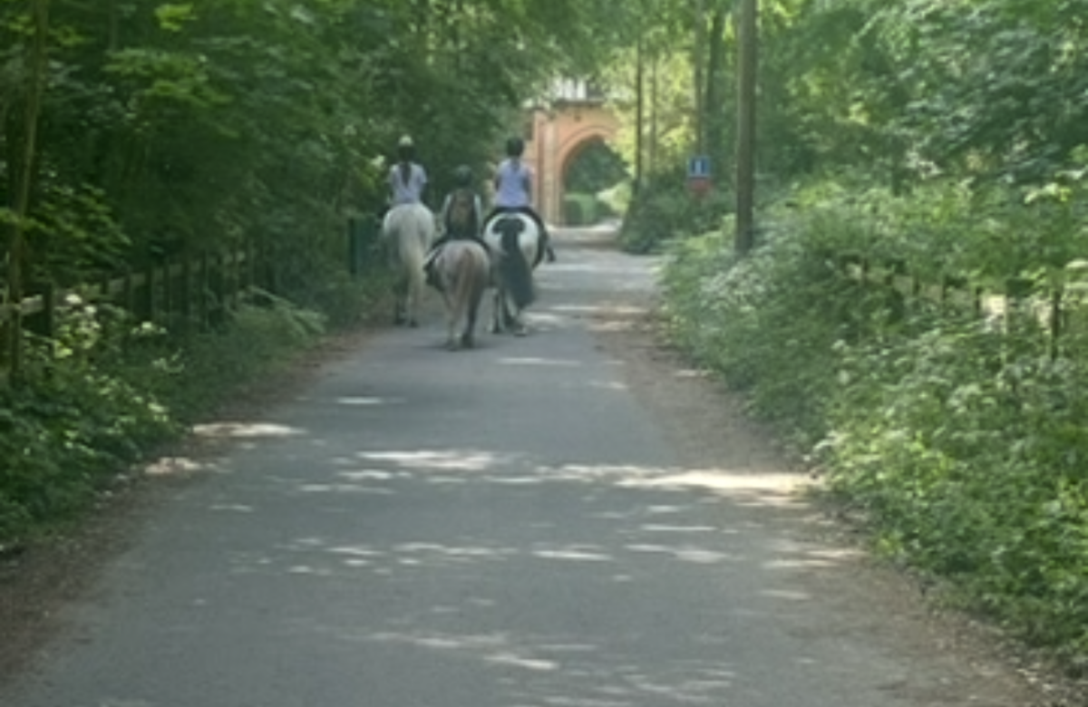 Broadview Riding School