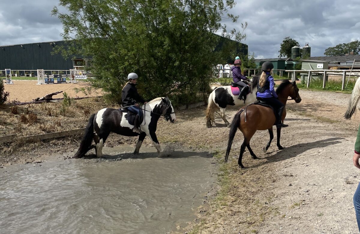 Lads Lodge Riding Centre