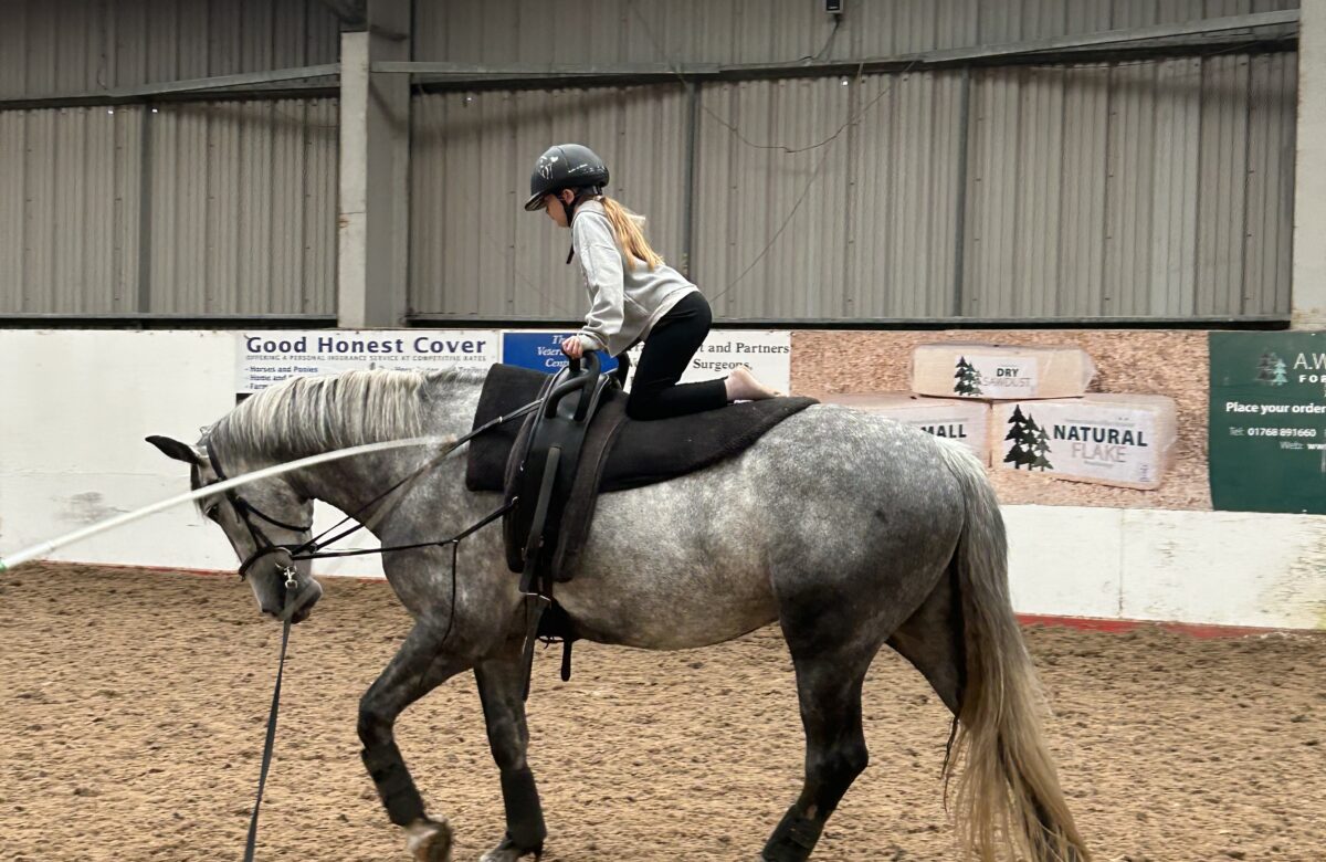 Lads Lodge Riding Centre