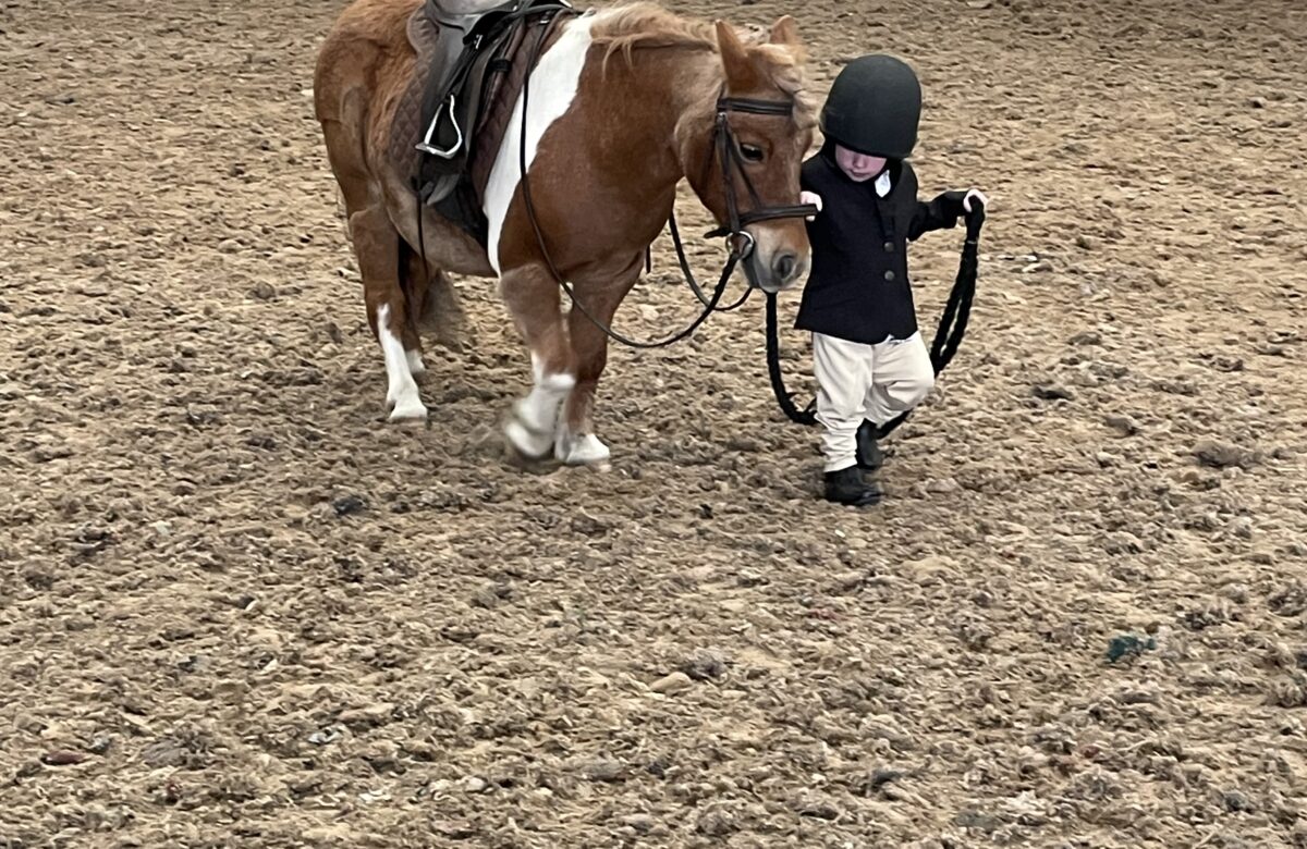Lads Lodge Riding Centre