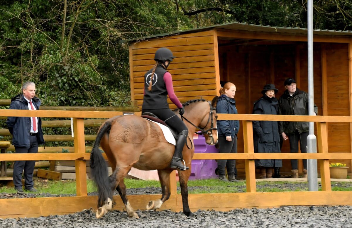 Summerfield Stables- Horses in the Community