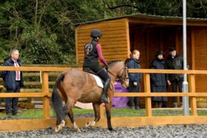 Summerfield Stables- Horses in the Community