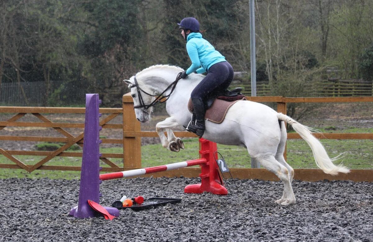 Summerfield Stables- Horses in the Community