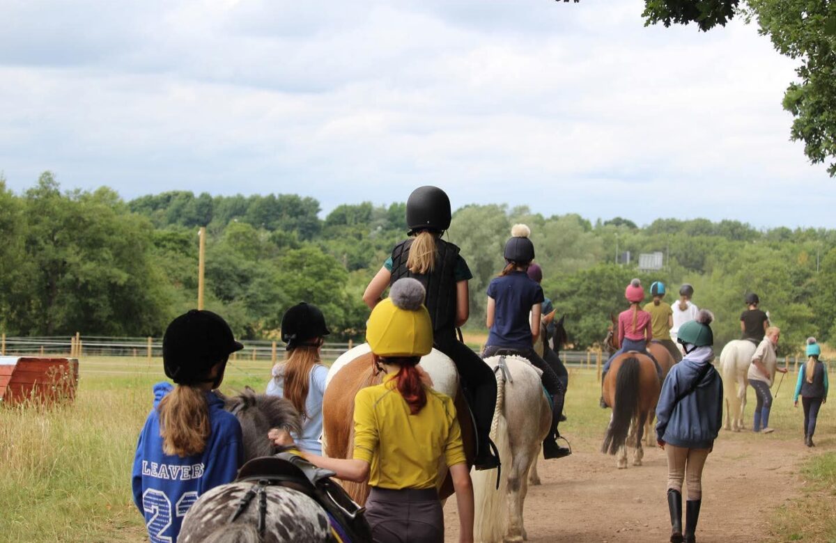 Summerfield Stables- Horses in the Community