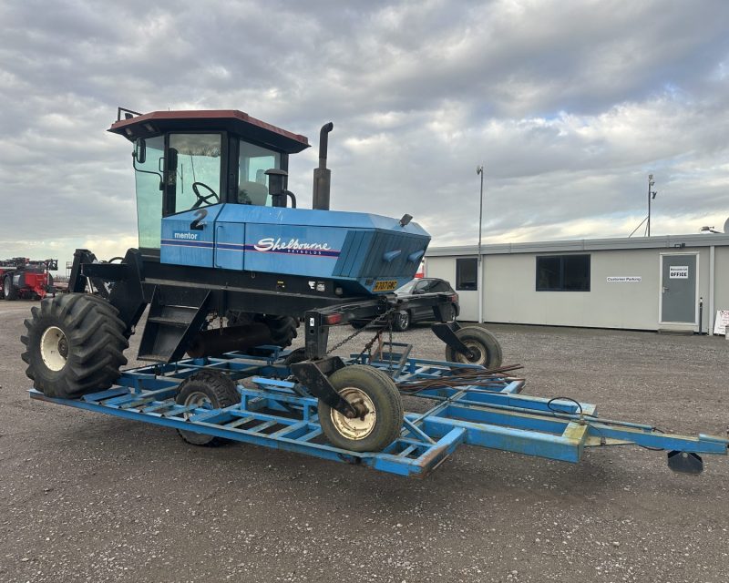 Shelbourne Reynolds Mentor