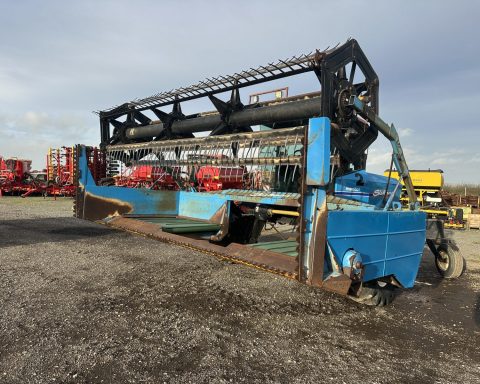 Shelbourne Reynolds Mentor