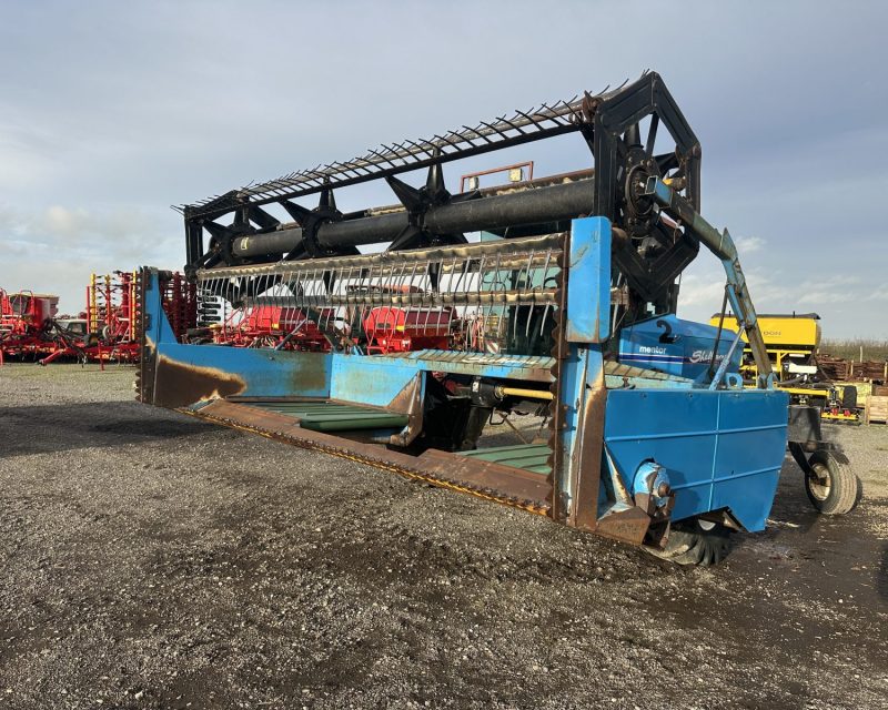 Shelbourne Reynolds Mentor