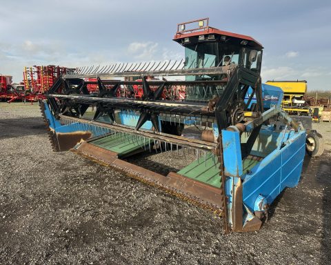 Shelbourne Reynolds Mentor