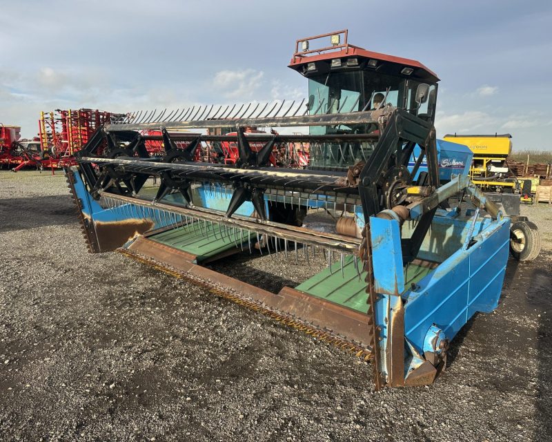 Shelbourne Reynolds Mentor