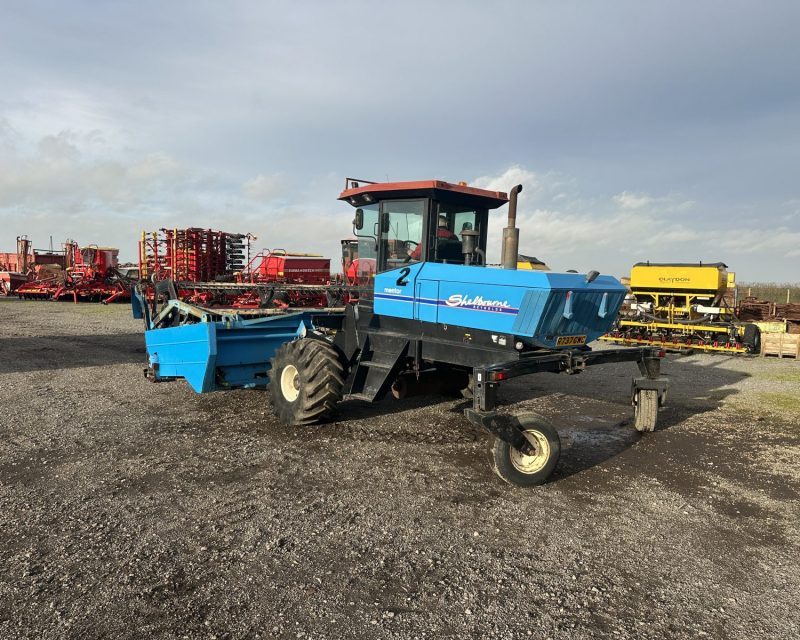 Shelbourne Reynolds Mentor