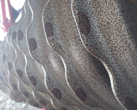 Vaderstad Carrier CR 820