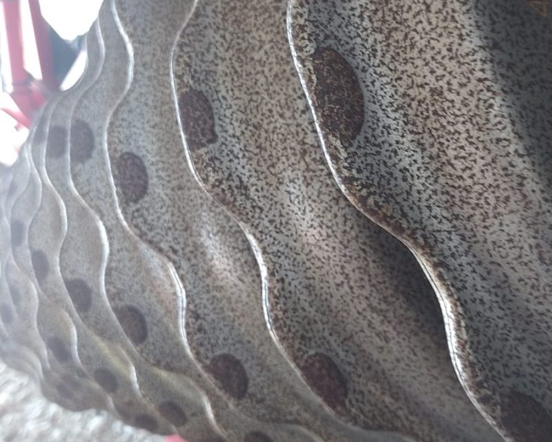 Vaderstad Carrier CR 820