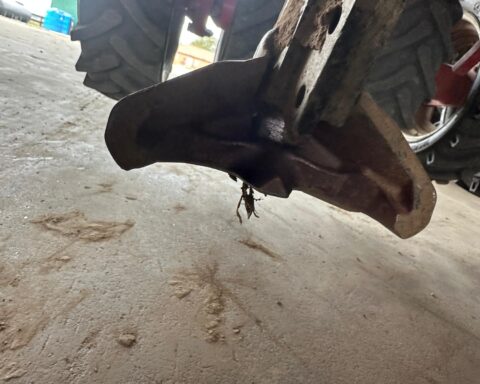 Horsch Sprinter 6 ST