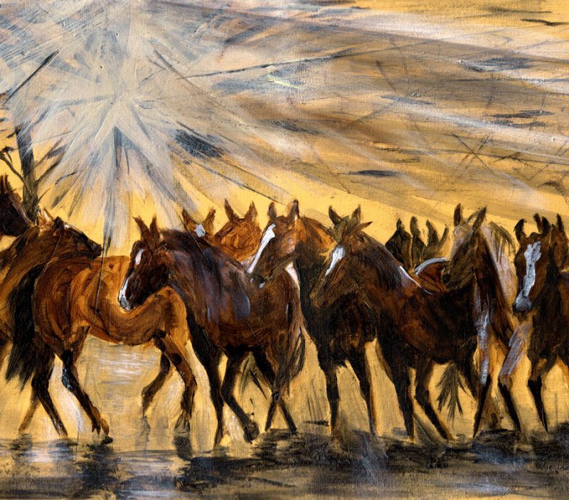 Spirit-of-the-Horse